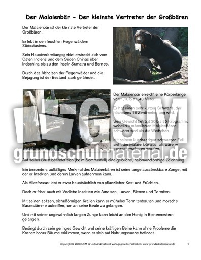 Malaienbär-Steckbrief.pdf